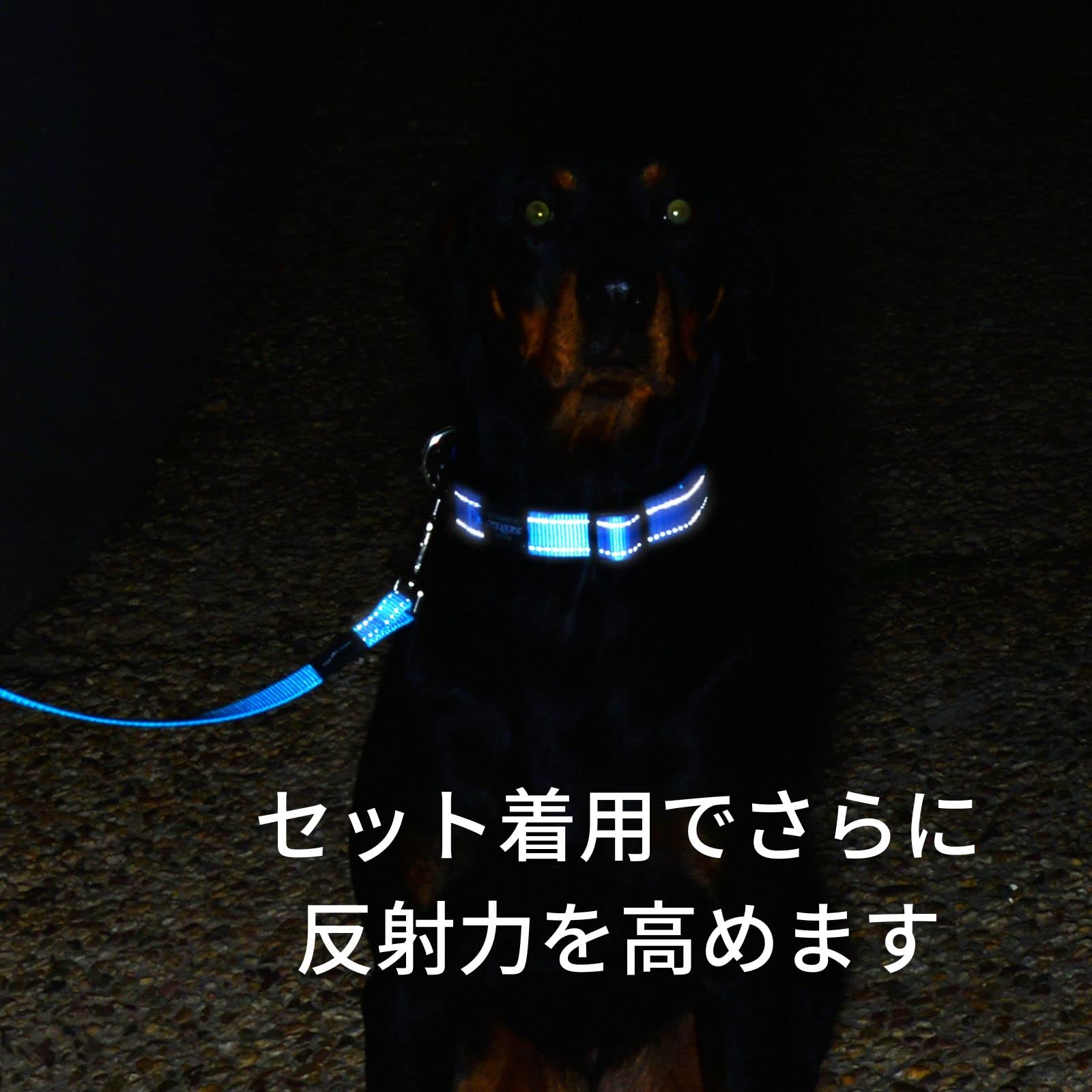 Amazon | ROGZ(ログズ) 犬用 首輪 Lサイズ ブラウン 中型犬・大型犬